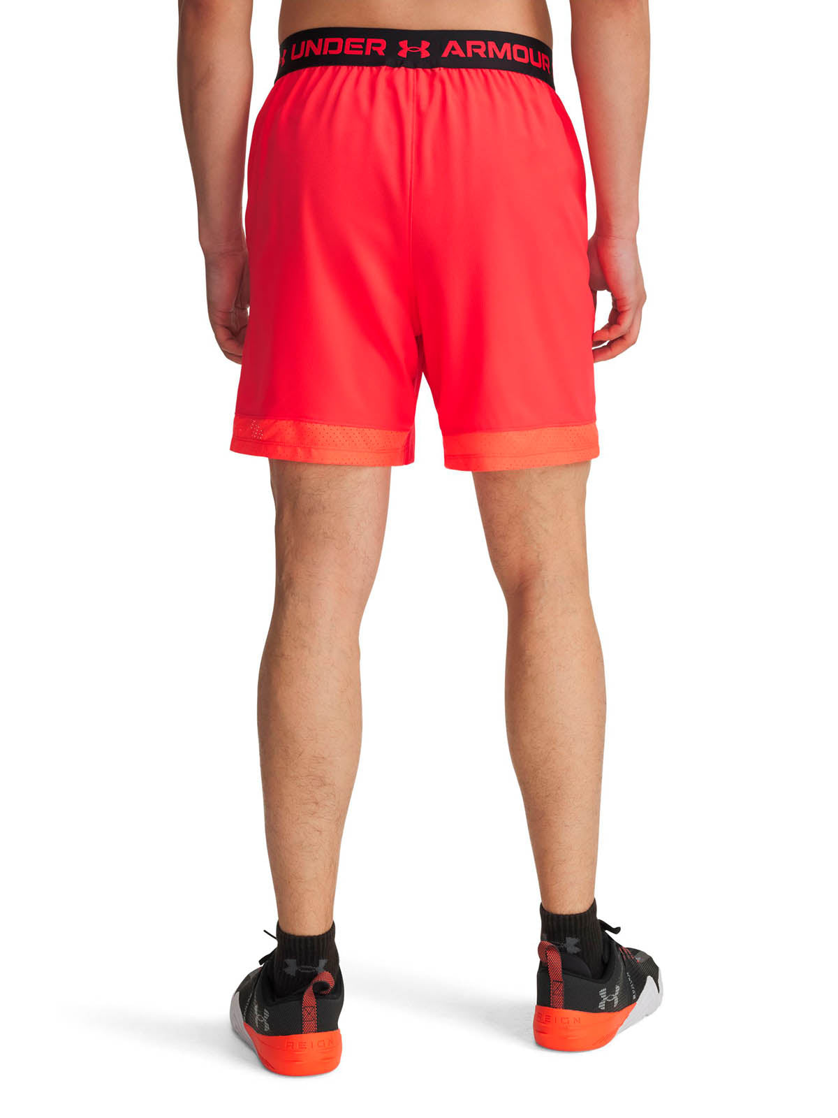 Short de entrenamiento para hombre Vanish Woven 6" rojo Under Armour