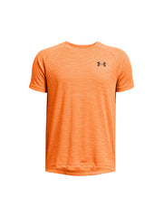 ORANGE (810)