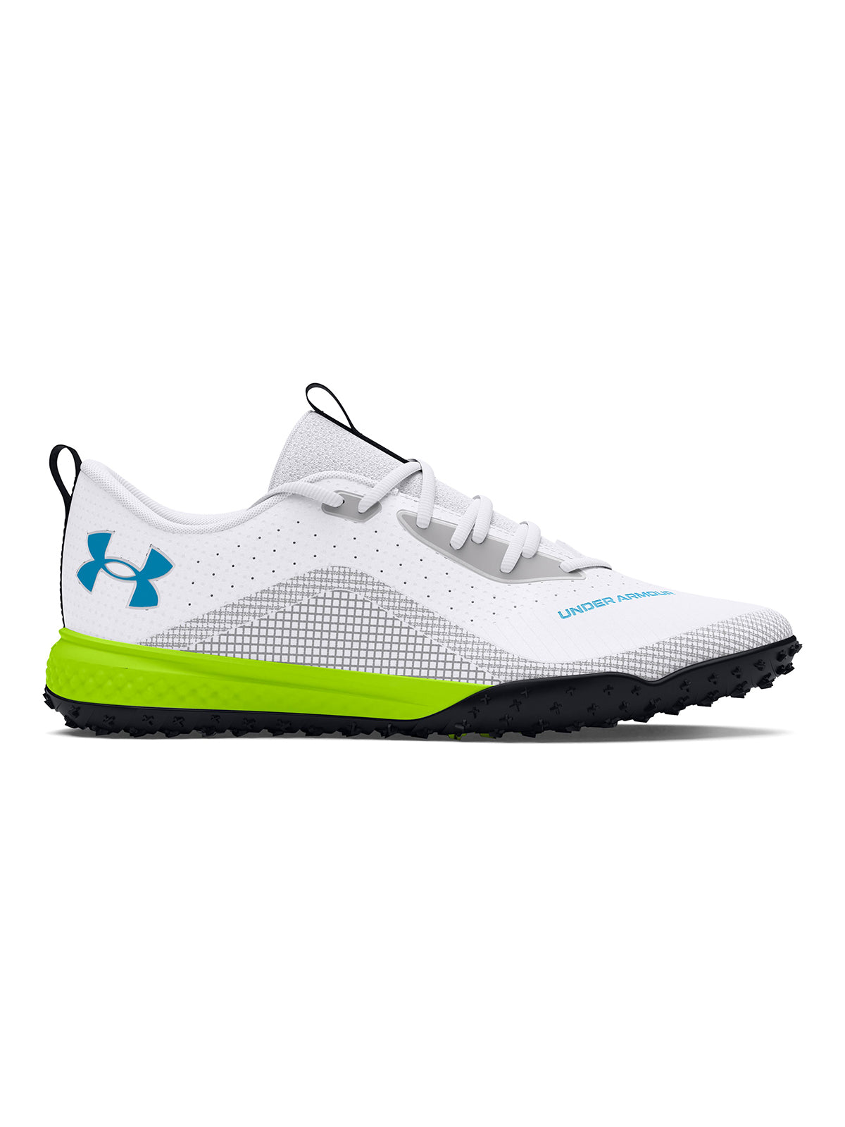 WHITE (100)