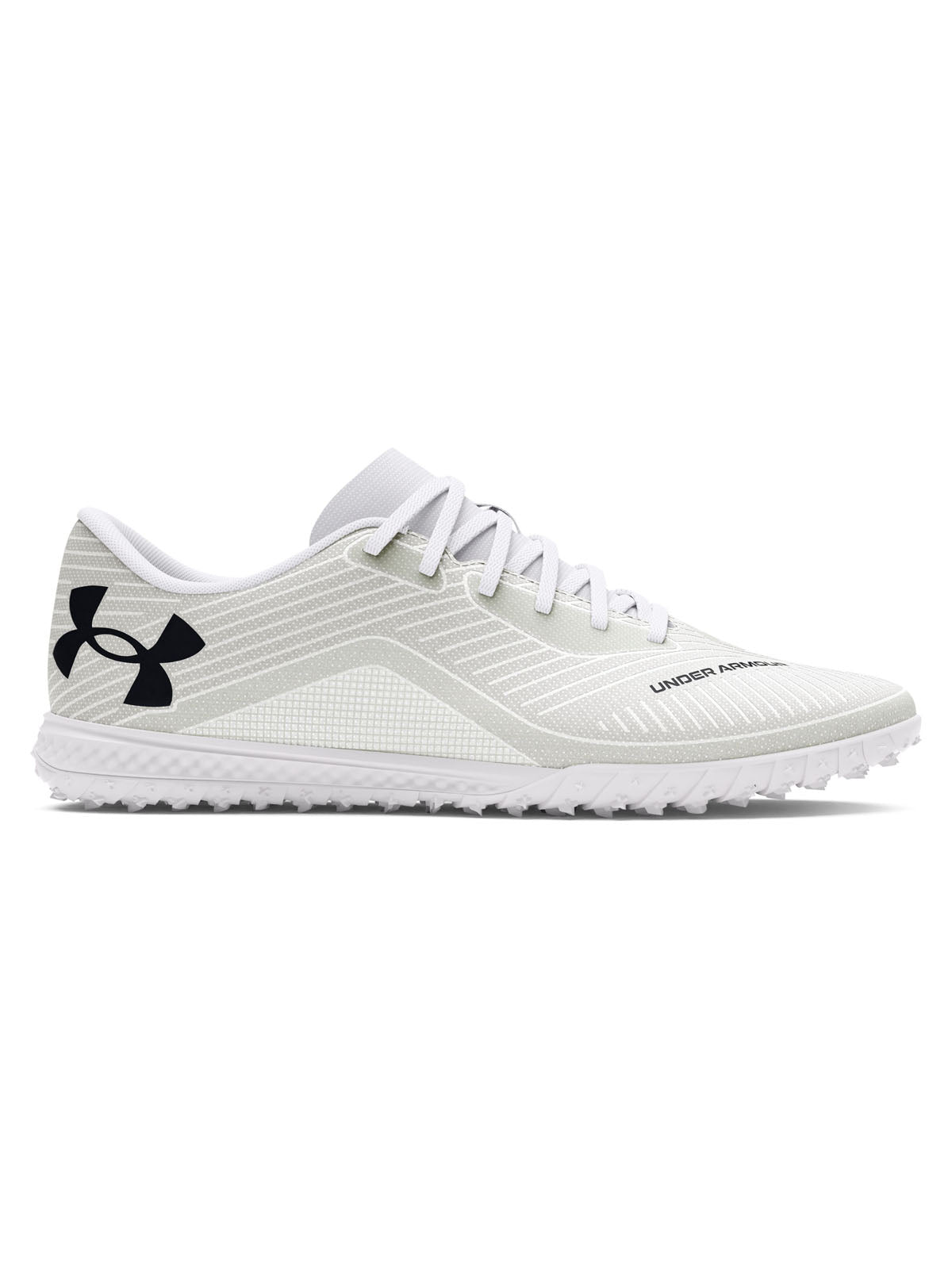 WHITE (100)