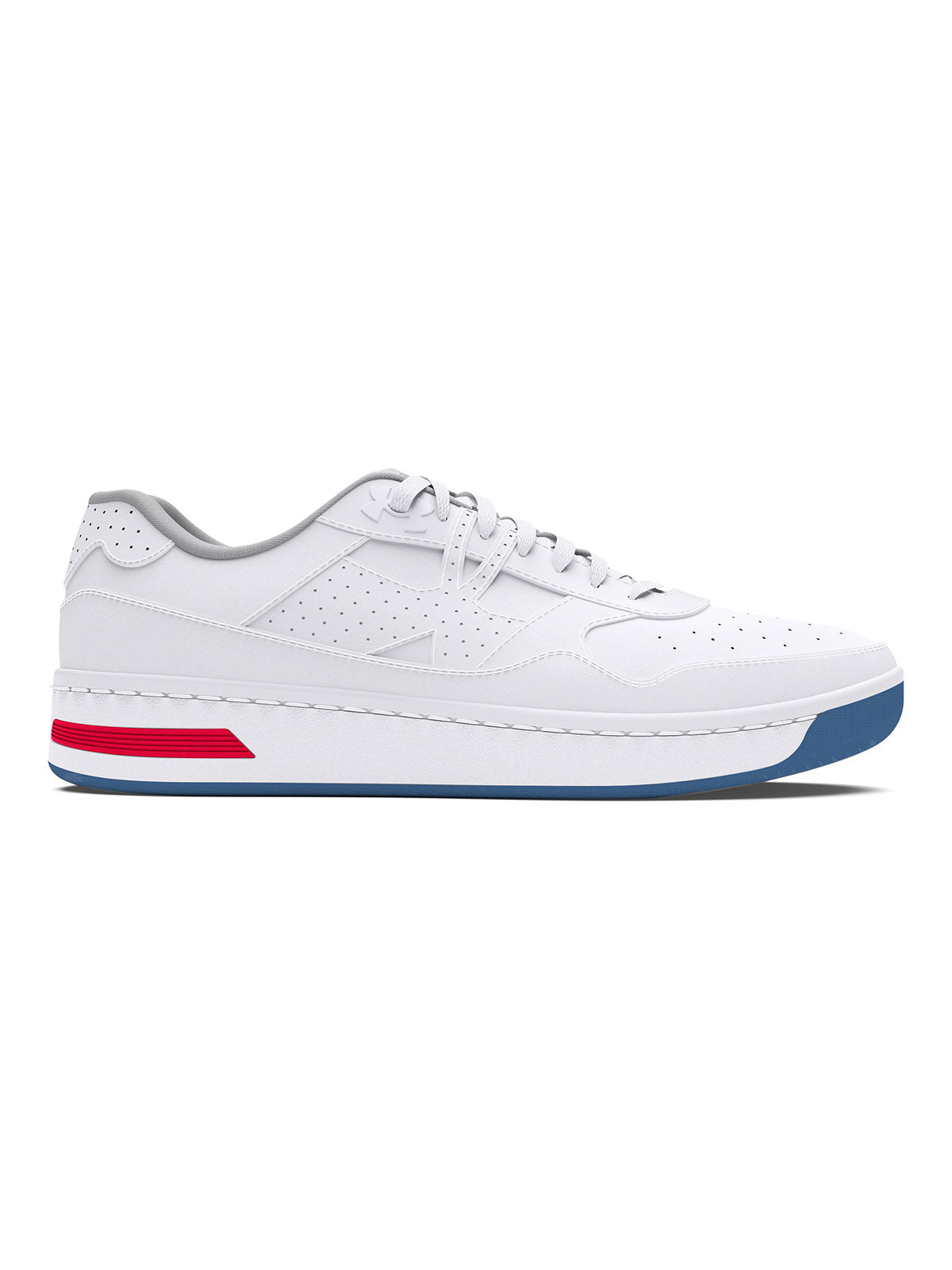 WHITE (100)