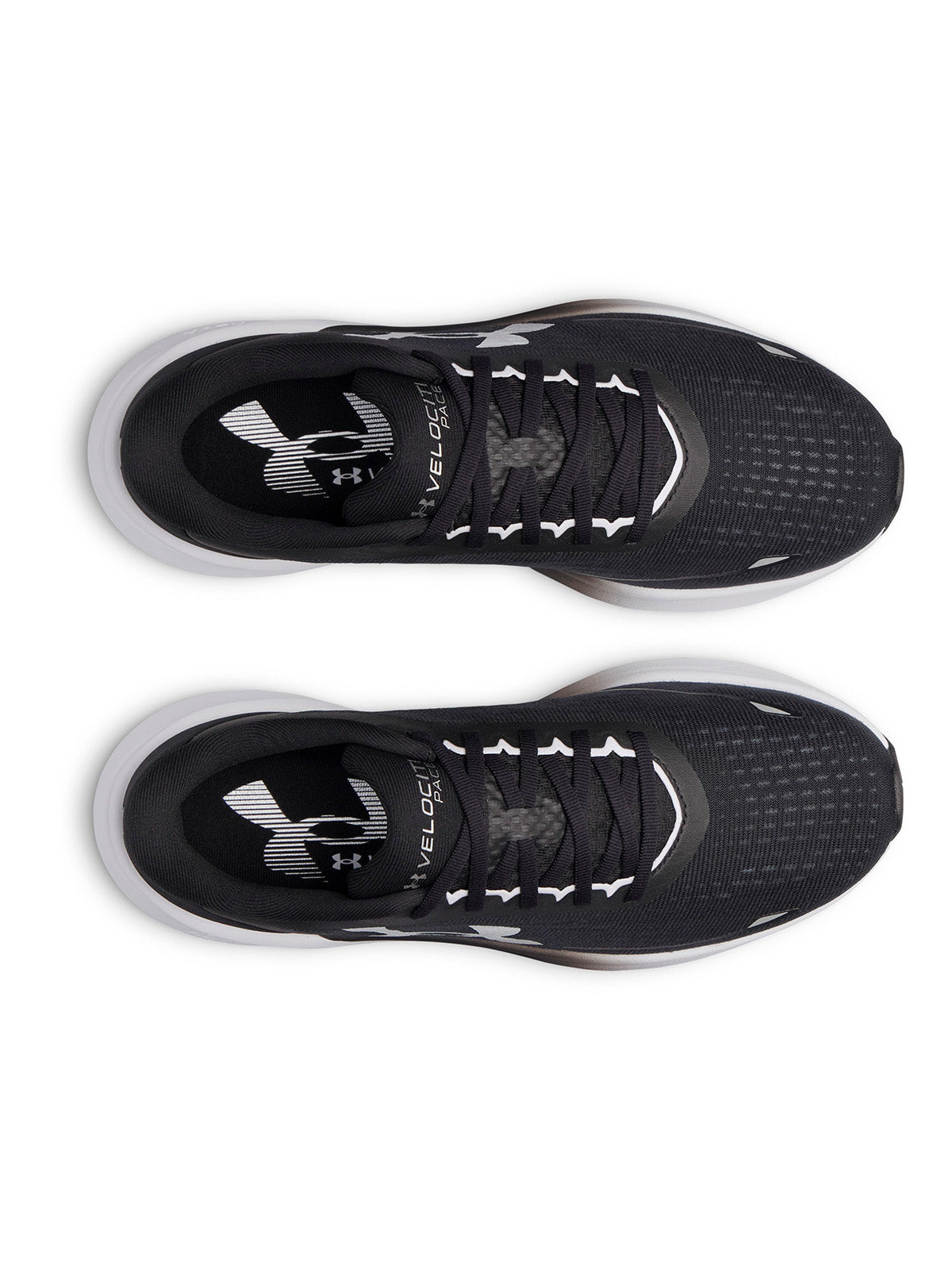 UA Velociti Pace negro para hombre