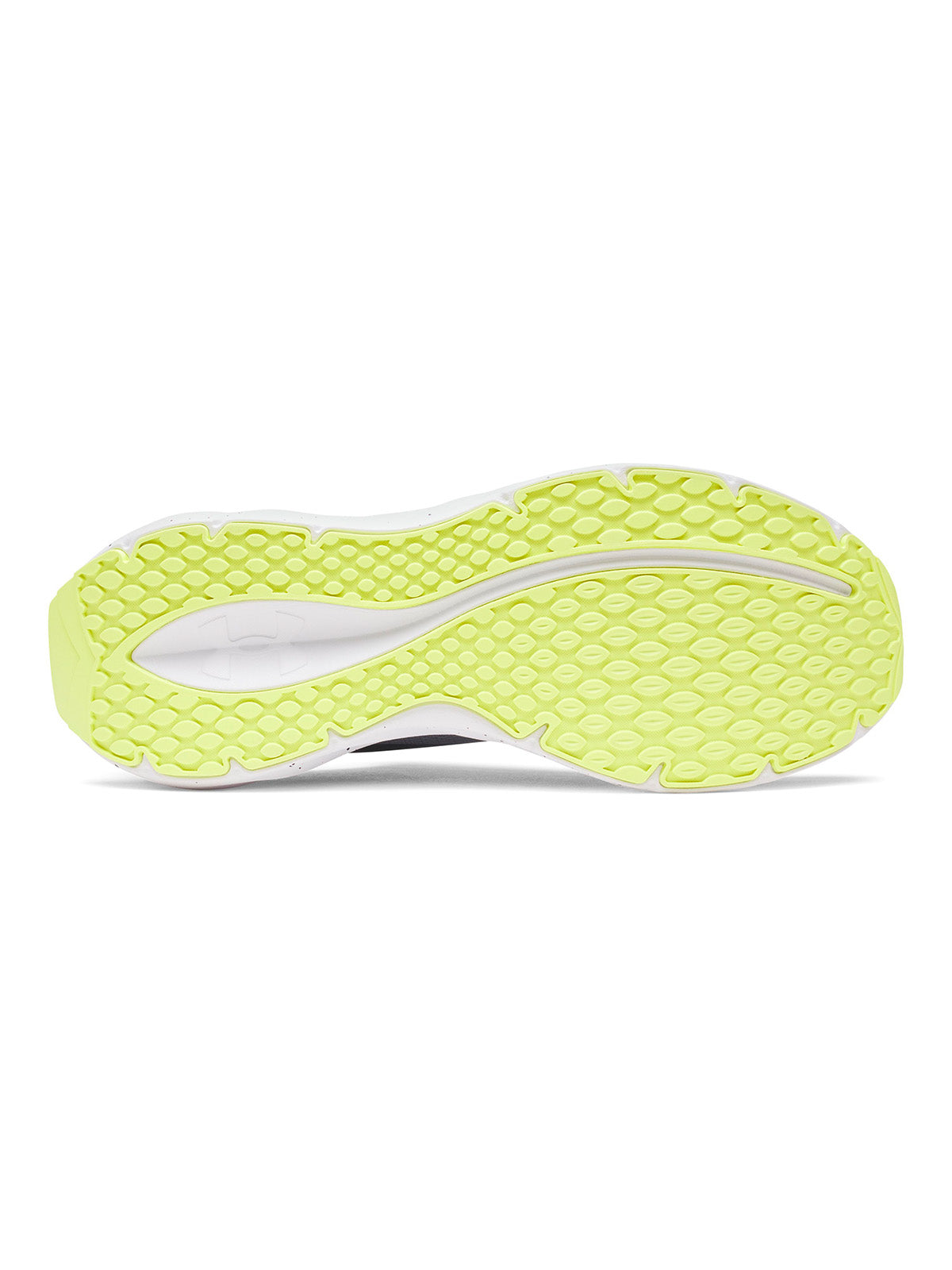 Zapatilla UA Ascend gris para hombre